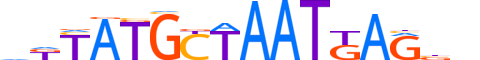 PO3F2.H13CORE.2.SM.B reverse-complement motif logo (POU3F2 gene, PO3F2_HUMAN protein)