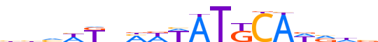 PO3F3.H13CORE.1.P.C reverse-complement motif logo (POU3F3 gene, PO3F3_HUMAN protein)