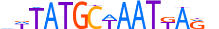 PO3F4.H13CORE.0.SM.B reverse-complement motif logo (POU3F4 gene, PO3F4_HUMAN protein)