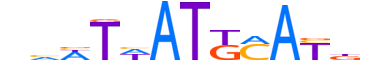 PO4F1.H13CORE.0.S.B motif logo (POU4F1 gene, PO4F1_HUMAN protein)