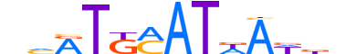 PO4F1.H13CORE.0.S.B reverse-complement motif logo (POU4F1 gene, PO4F1_HUMAN protein)