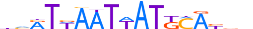 PO4F1.H13CORE.1.SM.B motif logo (POU4F1 gene, PO4F1_HUMAN protein)