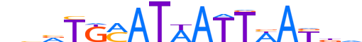 PO4F1.H13CORE.1.SM.B reverse-complement motif logo (POU4F1 gene, PO4F1_HUMAN protein)