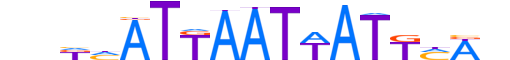 PO4F2.H13CORE.0.S.B motif logo (POU4F2 gene, PO4F2_HUMAN protein)