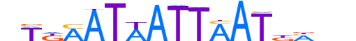 PO4F2.H13CORE.0.S.B reverse-complement motif logo (POU4F2 gene, PO4F2_HUMAN protein)