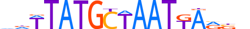 PO5F1.H13CORE.2.SM.B motif logo (POU5F1 gene, PO5F1_HUMAN protein)