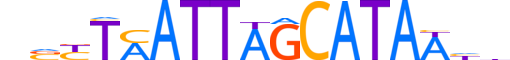 PO5F1.H13CORE.2.SM.B reverse-complement motif logo (POU5F1 gene, PO5F1_HUMAN protein)