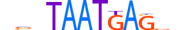 PO6F1.H13CORE.0.SM.B motif logo (POU6F1 gene, PO6F1_HUMAN protein)