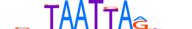 PO6F2.H13CORE.0.S.B motif logo (POU6F2 gene, PO6F2_HUMAN protein)