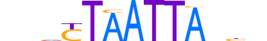 PO6F2.H13CORE.0.S.B reverse-complement motif logo (POU6F2 gene, PO6F2_HUMAN protein)