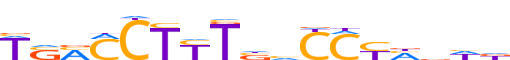 PPARA.H13CORE.0.P.B reverse-complement motif logo (PPARA gene, PPARA_HUMAN protein)