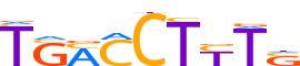 PPARA.H13CORE.1.P.B reverse-complement motif logo (PPARA gene, PPARA_HUMAN protein)