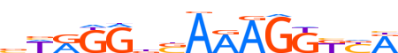 PPARD.H13CORE.0.PSM.A motif logo (PPARD gene, PPARD_HUMAN protein)