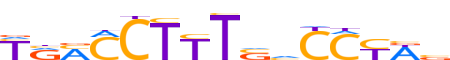 PPARD.H13CORE.0.PSM.A reverse-complement motif logo (PPARD gene, PPARD_HUMAN protein)