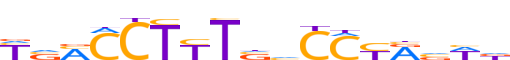 PPARG.H13CORE.0.P.B reverse-complement motif logo (PPARG gene, PPARG_HUMAN protein)