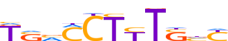 PPARG.H13CORE.1.P.B reverse-complement motif logo (PPARG gene, PPARG_HUMAN protein)