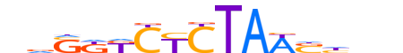 PRD14.H13CORE.0.P.B reverse-complement motif logo (PRDM14 gene, PRD14_HUMAN protein)