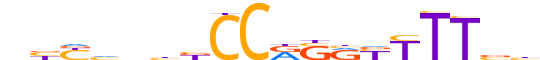 PRD15.H13CORE.0.P.B reverse-complement motif logo (PRDM15 gene, PRD15_HUMAN protein)