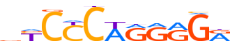 PRD16.H13CORE.0.P.B reverse-complement motif logo (PRDM16 gene, PRD16_HUMAN protein)