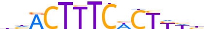 PRDM1.H13CORE.1.PS.A reverse-complement motif logo (PRDM1 gene, PRDM1_HUMAN protein)