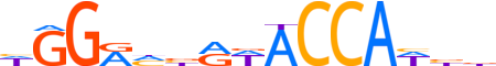 PRDM10.H13CORE.0.PSGI.A reverse-complement motif logo (PRDM10 gene, PRD10_HUMAN protein)