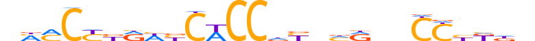 PRDM5.H13CORE.0.PSGI.A motif logo (PRDM5 gene, PRDM5_HUMAN protein)