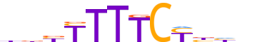 PRDM6.H13CORE.0.P.B reverse-complement motif logo (PRDM6 gene, PRDM6_HUMAN protein)