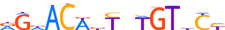 PRGR.H13CORE.0.P.B motif logo (PGR gene, PRGR_HUMAN protein)