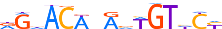 PRGR.H13CORE.0.P.B reverse-complement motif logo (PGR gene, PRGR_HUMAN protein)