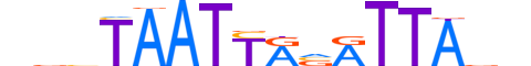 PROP1.H13CORE.0.PSM.A motif logo (PROP1 gene, PROP1_HUMAN protein)