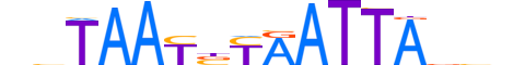 PROP1.H13CORE.0.PSM.A reverse-complement motif logo (PROP1 gene, PROP1_HUMAN protein)