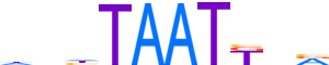 PROP1.H13CORE.1.P.C motif logo (PROP1 gene, PROP1_HUMAN protein)