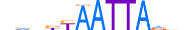 PRRX1.H13CORE.0.S.B reverse-complement motif logo (PRRX1 gene, PRRX1_HUMAN protein)