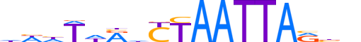 PRRX1.H13CORE.1.S.B reverse-complement motif logo (PRRX1 gene, PRRX1_HUMAN protein)