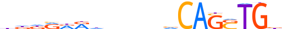 PTF1A.H13CORE.0.P.B reverse-complement motif logo (PTF1A gene, PTF1A_HUMAN protein)