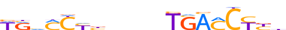 RARA.H13CORE.1.P.B reverse-complement motif logo (RARA gene, RARA_HUMAN protein)