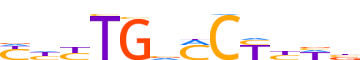 RARB.H13CORE.1.P.B reverse-complement motif logo (RARB gene, RARB_HUMAN protein)