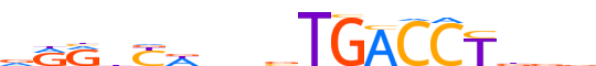 RARG.H13CORE.0.P.B reverse-complement motif logo (RARG gene, RARG_HUMAN protein)