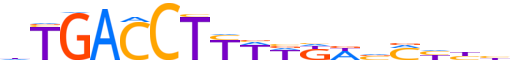 RARG.H13CORE.3.S.B reverse-complement motif logo (RARG gene, RARG_HUMAN protein)