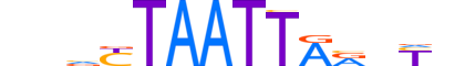 RAX2.H13CORE.0.S.B reverse-complement motif logo (RAX2 gene, RAX2_HUMAN protein)