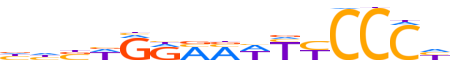 REL.H13CORE.0.P.B reverse-complement motif logo (REL gene, REL_HUMAN protein)