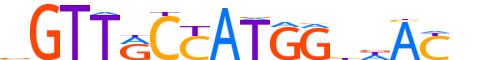 RFX2.H13CORE.1.PSM.A motif logo (RFX2 gene, RFX2_HUMAN protein)