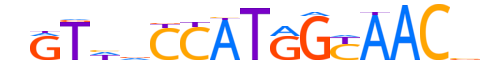 RFX2.H13CORE.1.PSM.A reverse-complement motif logo (RFX2 gene, RFX2_HUMAN protein)