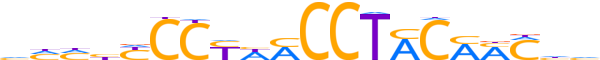 RFX3.H13CORE.2.S.B reverse-complement motif logo (RFX3 gene, RFX3_HUMAN protein)