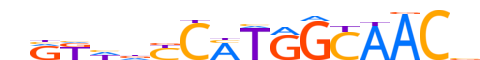 RFX4.H13CORE.0.SM.B reverse-complement motif logo (RFX4 gene, RFX4_HUMAN protein)