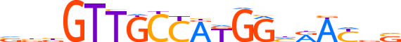 RFX5.H13CORE.0.PSG.A motif logo (RFX5 gene, RFX5_HUMAN protein)