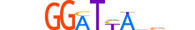 RHXF1.H13CORE.0.SM.B motif logo (RHOXF1 gene, RHXF1_HUMAN protein)