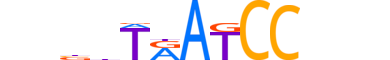 RHXF1.H13CORE.0.SM.B reverse-complement motif logo (RHOXF1 gene, RHXF1_HUMAN protein)