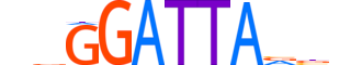 RHXF2.H13CORE.0.SM.B motif logo (RHOXF2 gene, RHXF2_HUMAN protein)