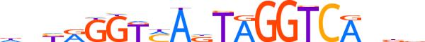 RORG.H13CORE.0.M.C motif logo (RORC gene, RORG_HUMAN protein)